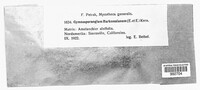 Image Associated With the Occurence